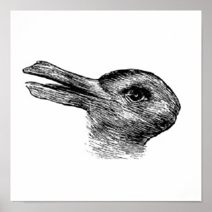 affiche illusion du canard de lapin r998d1fadf3ed4ab5a70c35690c708e4b wvk 8byvr 306